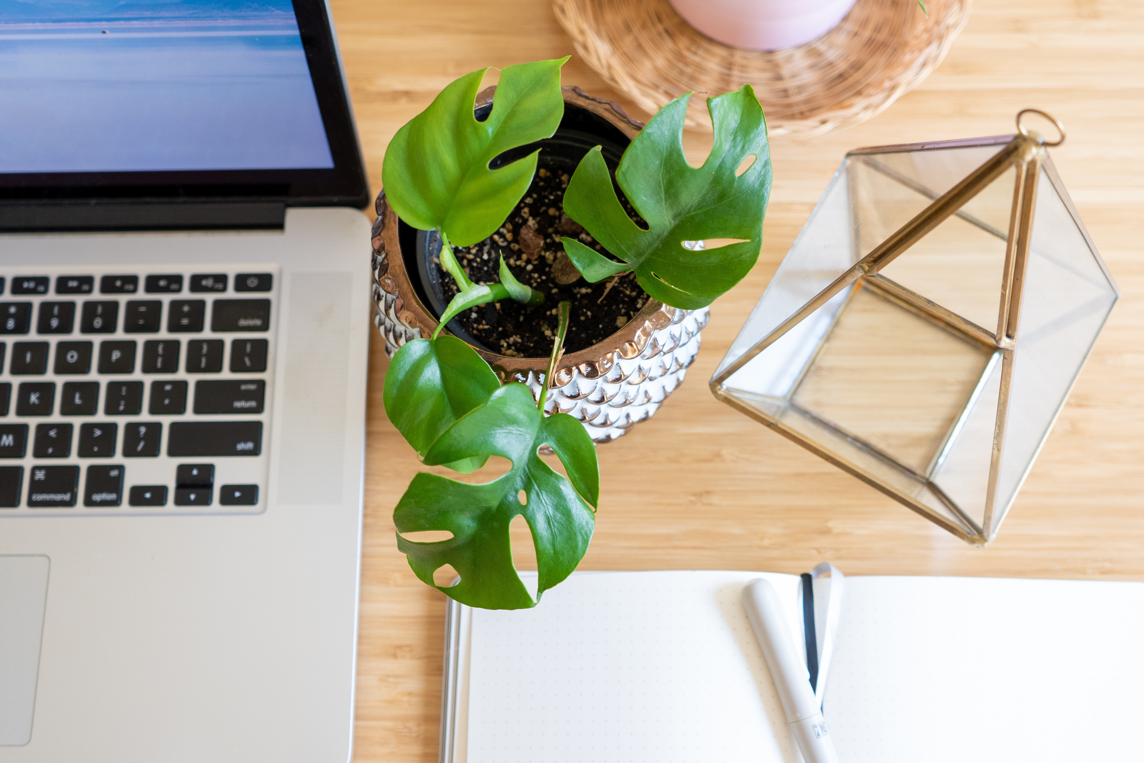 【開催中】家づくりオンライン相談会